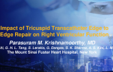 Impact of Tricuspid Transcatheter Edge to Edge Repair on Right Ventricular Function