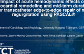 TCT 638: Impact of Acute Hemodynamic Effects on Myocardial Remodeling and Mid-Term Durability After Transcatheter Edge-to-Edge Repair (TEER) of Mitral Regurgitation Using PASCAL®