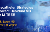 Transcatheter Strategies to Correct Residual MR After M-TEER
