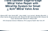 Trans Catheter Edge-to-Edge Mitral Valve Repair with MitraClip System for Small < 4cm2 Mitral Valve Area