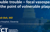 TCT 1333: Double Trouble: Focal Vasospasm at the Point of Volnurable Plaque