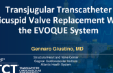TCT 167: Transjugular Transcatheter Tricuspid Valve Replacement With the EVOQUE System