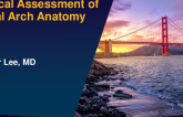 Critical Assessment of the Tibial Arch Anatomy