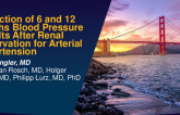 TCT 207: Prediction of Six- and Twelve-Months Blood Pressure Results After Renal Denervation for Arterial Hypertension