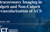 Intracoronary Imaging in Culprit and Non-Culprit Revascularization of ACS