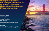 TCT 163: Artificial Intelligence-Enabled Assessment of Right Ventricular to Pulmonary Artery Coupling Refines Mortality Prediction in Patients with Severe Tricuspid Regurgitation Undergoing Transcatheter Tricuspid Valve Intervention