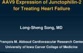 AAV9 Expression of Junctophilin to Treat HF
