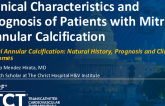 TCT 614: Clinical Characteristics and Prognosis of Patients With Mitral Annular Calcification