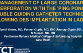 TCT 1487: Management of Large Coronary Perforation With the 'Ping Pong' Double Guiding Catheter Technique Following DES Implantation in LAD CTO