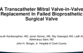 A Transcatheter Mitral Valve-in-Valve Replacement In Failed Bioprosthetic Surgical Valve: A Promising Approach