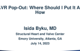 TAVR Pop-Out: Where Should I Put It and How?