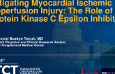 TCT 590: Mitigating Myocardial Reperfusion Injury in Coronary Revascularization: The Role of Protein Kinase C Epsilon Peptide Inhibitor