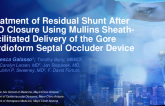 Treatment of Residual Shunt After PFO Closure Using Mullins Sheath-Facilitated Delivery of the Gore Cardioform Septal Occluder Device