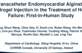 TCT 404: First-in-man Use of Novel Catheter-based Intramyocardial Injection Platform X-DROP for Endocardial Alginate-hydrogel Injection in the Treatment of Heart Failure