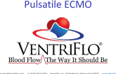 VentriFlo: Pulsatile ECMO