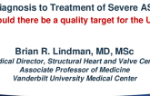 Diagnosis to treatment of severe AS: should there be a Quality target for the US?