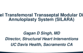 Novel Transfemoral Transseptal Modular Direct Mitral Annuloplasty System (SILARA)