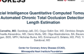 Artificial Intelligence Quantitative Computed Tomography for Automated Chronic Total Occlusion Detection and Length Estimation