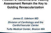 Position 2: Ischemia and Viability Assessment Remain the Key to Guiding Revascularization