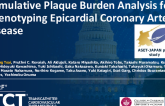 TCT 516: Cumulative Plaque Burden Analysis for Phenotyping Epicardial Coronary Artery Disease