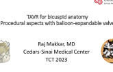 TAVR Techniques in Bicuspid Anatomy: Valve Selection, Sizing, and Positioning