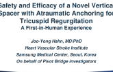 Safety and Efficacy of a Novel Vertical Spacer with Atraumatic Anchoring for Tricuspid Regurgitation: A First-in-Man Experience (Pivot Bridge)