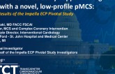 Mechanical Circulatory Support of High-Risk PCI With a Novel, Low-Profile pMCS: First Results of the Impella ECP Pivotal Study