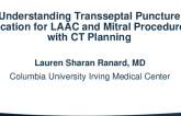 Understanding Transseptal Puncture Location for LAAC and Mitral Procedures with CT Planning
