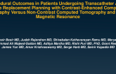 Procedural Outcomes in Patients Undergoing Transcatheter Aortic Valve Replacement Planning With Contrast-Enhanced Computed Tomography Versus Non-Contrast Computed Tomography and Cardiac Magnetic Resonance
