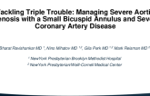 Tackling Triple Trouble: Managing Severe Aortic Stenosis with a Small Bicuspid Annulus and Severe Coronary Artery Disease