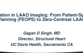 Innovation in LAAO Imaging: From Patient-Specific Planning (FEOPS) to Zero-Contrast LAAO Interventions