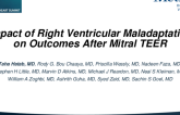 Hemodynamic Maladaptation of the Right Ventricle Predicts Adverse Outcomes After Mitral Transcatheter Edge-To-Edge Repair