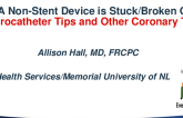 A Non-Stent Device Is Stuck/Broken Off (Microcatheter Tips and Other Coronary Trash)