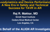 Valve Hemodynamics and Device Performance:  A New Era in Safety and Technical Success for TAVR in AR