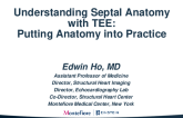 Understanding the Septal Anatomy With TEE: Putting Anatomy Into Practice