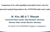 Comparison of Two Self-Expanding Transcatheter Heart Valves for Degenerated Surgical Bioprostheses: The AVENGER Multi-Center Registry