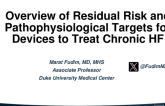 Overview of Residual Risk and Pathophysiological Targets for Devices to Treat Chronic HF