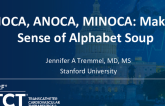 INOCA, ANOCA, MINOCA: Making Sense of Alphabet Soup