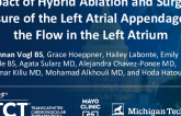 TCT 536: Impact of Hybrid Ablation and Surgical Closure of the Left Atrial Appendage on the Flow in the Left Atrium