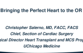 Bringing the Perfect Heart to the OR