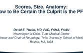 Scores, Size, Anatomy: How to Be Certain the Culprit is the PFO