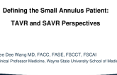 Defining the Small Annulus Patient: TAVR and SAVR Perspectives