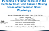 Structural Keynote Lecture: Punching or Fixing the Holes in the Septa to Treat Heart Failure? Making Sense of Intracardiac Shunt Physiology