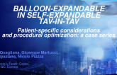 Balloon-Expandable in Self-Expandable TAV-IN-TAVS. Patient-Specific Considerations and Procedural Optimization: A Case Series