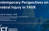 Contemporary Perspectives on Cerebral Injury in TAVR