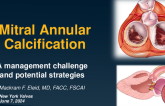 Mitral Annular Calcification: A Management Challenge and Potential Strategies