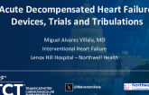 Acute Demopensated Heart Failure: Devices, Trials and Tribulations