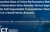 Comparative Data of Valve Performance Between Latest Generation Intra-Annular Versus Supra-Annular Self-Expandable Transcatheter Heart Valves in Small Aortic Annuli
