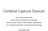 Progress in Embolic Protection 1: New Debris Capture and Removal Devices