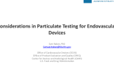 Considerations in Particulate Testing